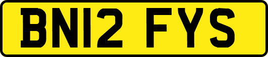 BN12FYS