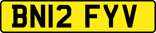 BN12FYV