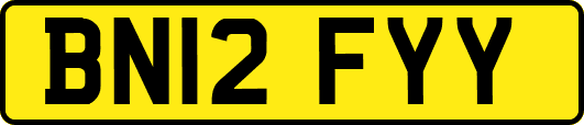 BN12FYY