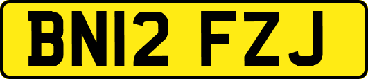 BN12FZJ