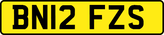 BN12FZS