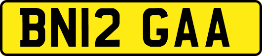 BN12GAA
