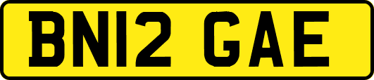 BN12GAE