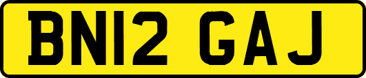 BN12GAJ