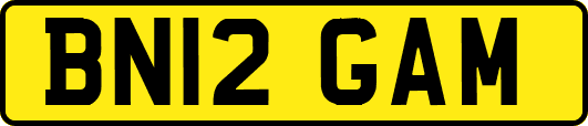 BN12GAM