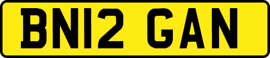 BN12GAN