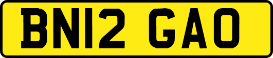BN12GAO