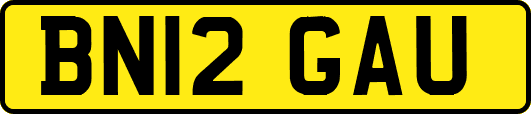 BN12GAU