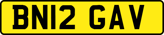 BN12GAV