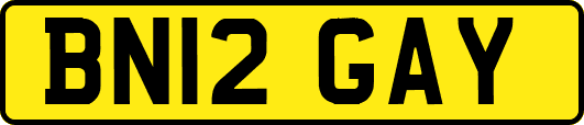 BN12GAY