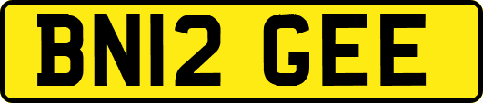 BN12GEE