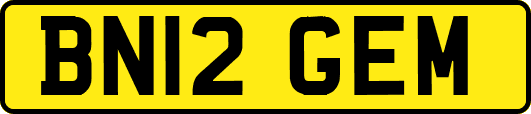 BN12GEM