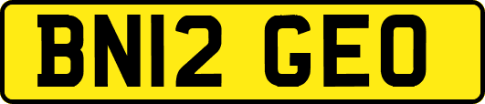 BN12GEO