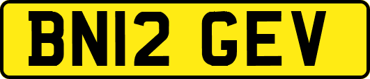BN12GEV