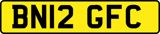 BN12GFC