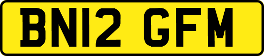 BN12GFM