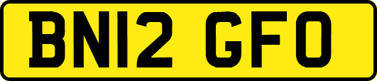 BN12GFO