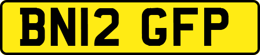 BN12GFP
