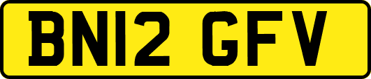 BN12GFV