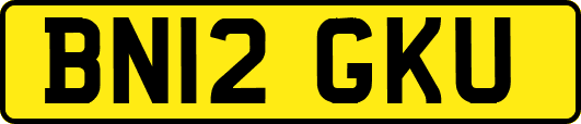BN12GKU