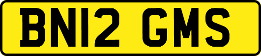 BN12GMS