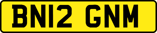 BN12GNM
