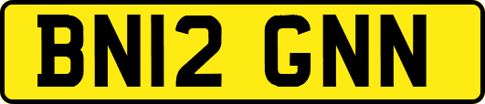 BN12GNN