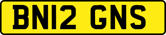 BN12GNS