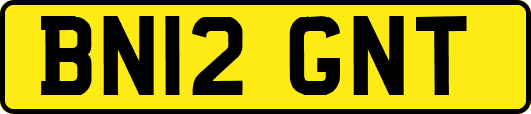 BN12GNT