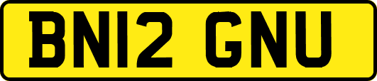BN12GNU