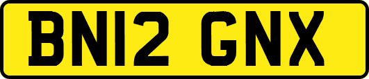 BN12GNX