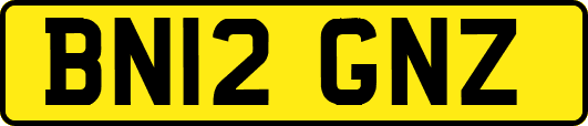BN12GNZ