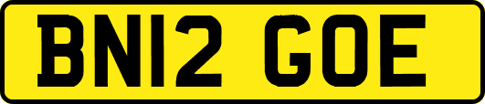 BN12GOE