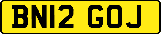 BN12GOJ