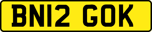 BN12GOK