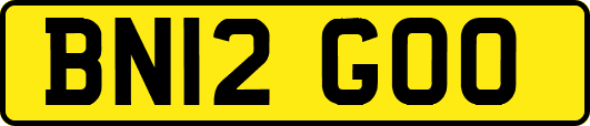 BN12GOO