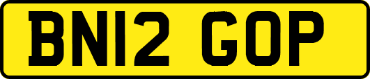 BN12GOP