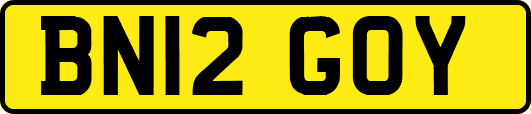 BN12GOY