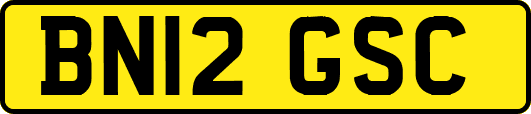 BN12GSC