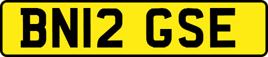 BN12GSE
