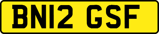 BN12GSF
