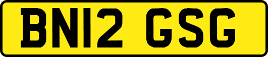 BN12GSG