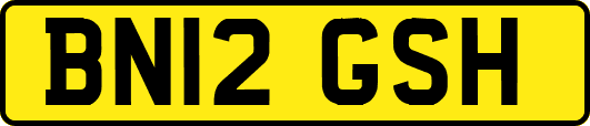 BN12GSH