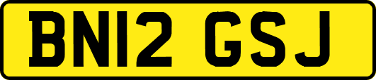 BN12GSJ