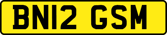 BN12GSM