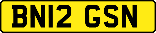 BN12GSN