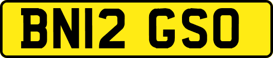 BN12GSO