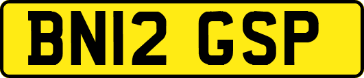 BN12GSP