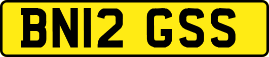 BN12GSS