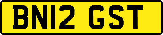BN12GST